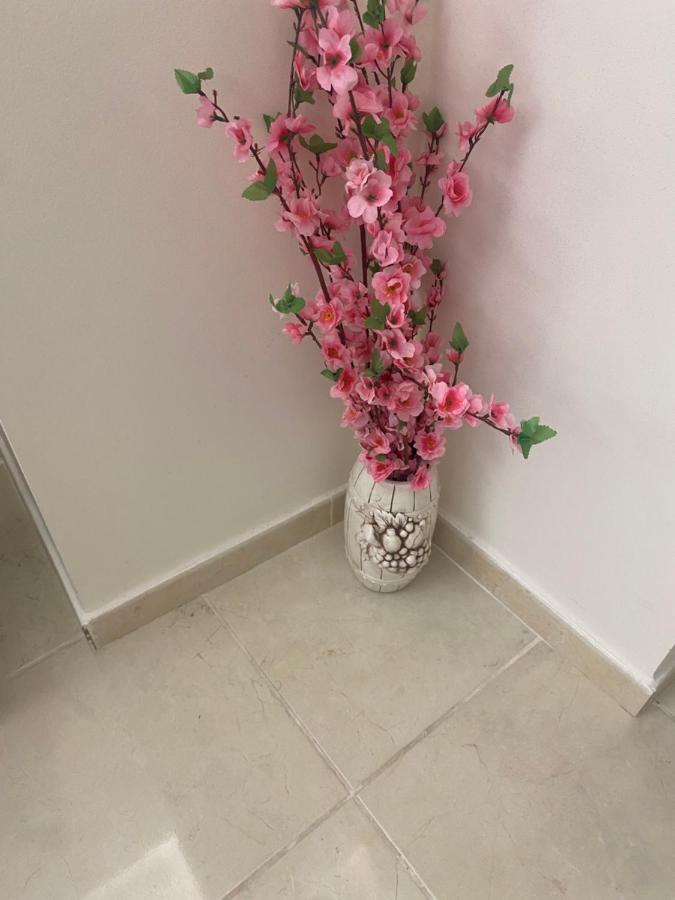 فيلا Baciati Dal Sole كاتانيا المظهر الخارجي الصورة